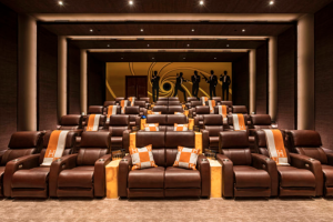 sala de cine mansion lujo bruce makowsky